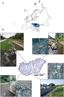 Impacts of Urbanization on Stream Fish Assemblages: The Role of the Species Pool and the Local Environment